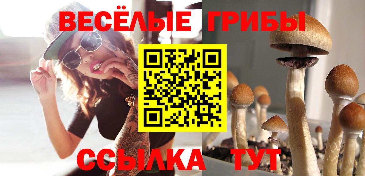 Псилоцибиновые грибы GOLDEN TEACHER Мирный